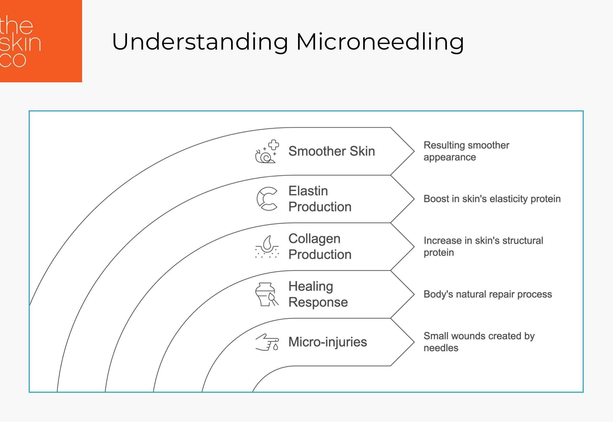 Understanding Microneedling@2x Diagram showing different types of chemical peels in a curved hierarchy: Deep Peels (Phenol for deep wrinkles), Medium Peels (TCA for surface wrinkles), Light Peels (Mild acids for fine lines), and Effectiveness (Reduces fine lines and wrinkles). Each level is represented by a curved line with an icon and description.
